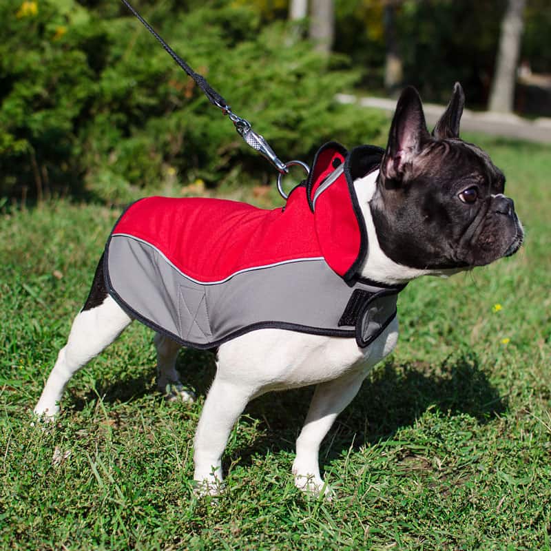 Шлейка жилетка для собак «Raincoat Cape» - H14